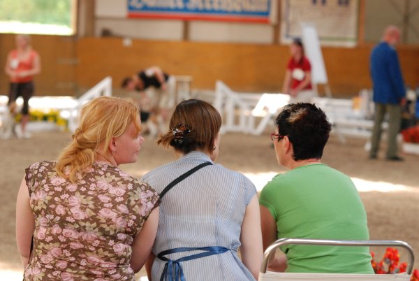 CSS 2009 in Steinhagen