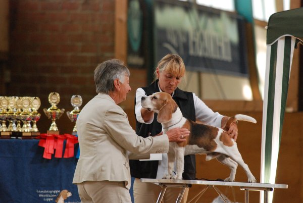 CSS 2009 in Steinhagen