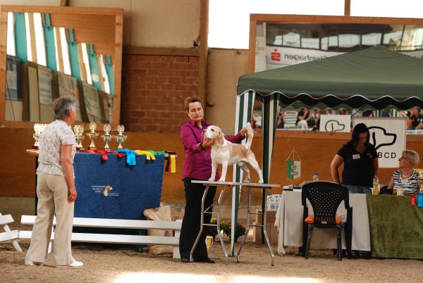 CSS 2009 in Steinhagen