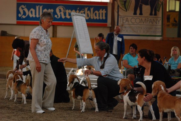 CSS 2009 in Steinhagen