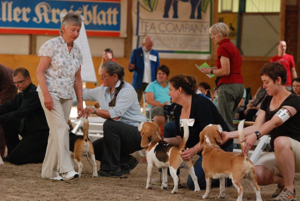 CSS 2009 in Steinhagen