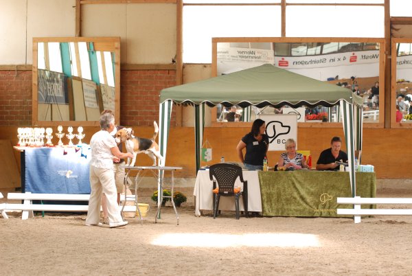 CSS 2009 in Steinhagen