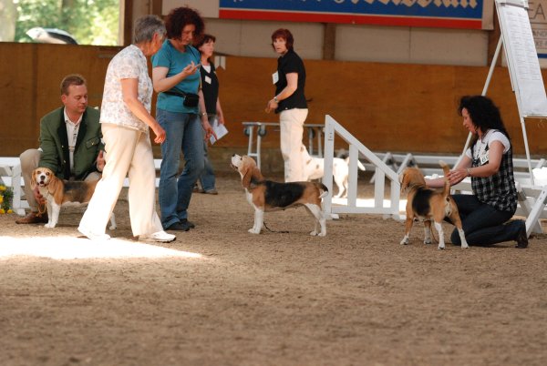 CSS 2009 in Steinhagen