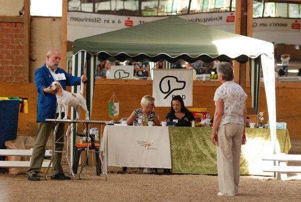 CSS 2009 in Steinhagen