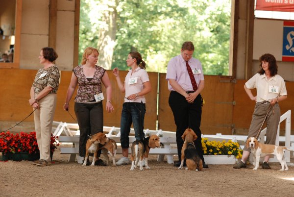 CSS 2009 in Steinhagen