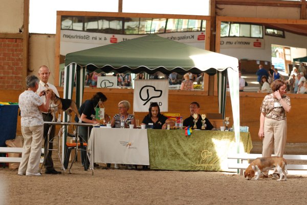 CSS 2009 in Steinhagen
