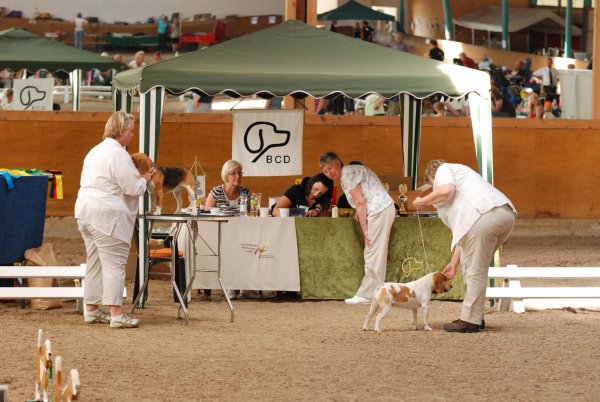 CSS 2009 in Steinhagen