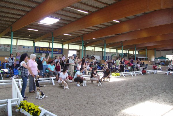 CSS 2009 in Steinhagen