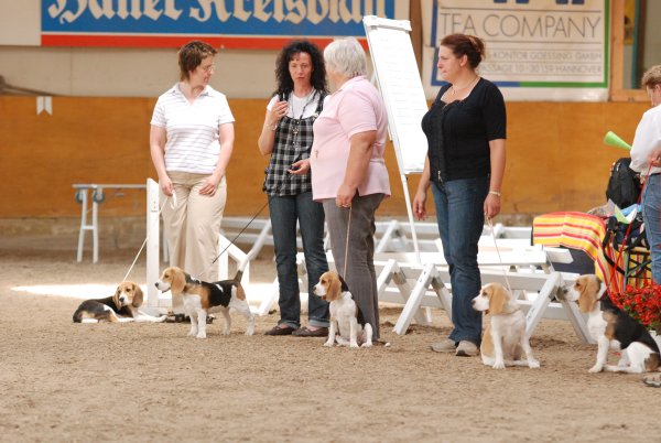 CSS 2009 in Steinhagen