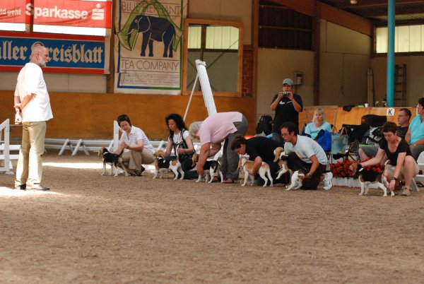 CSS 2009 in Steinhagen