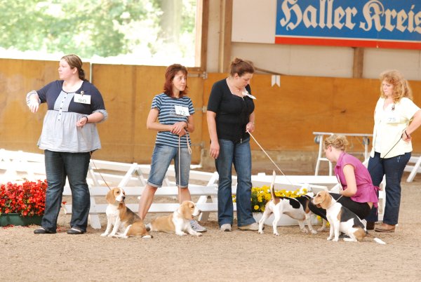 CSS 2009 in Steinhagen