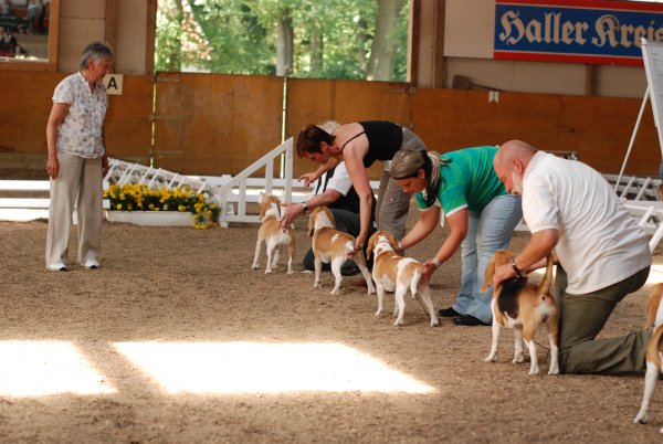 CSS 2009 in Steinhagen