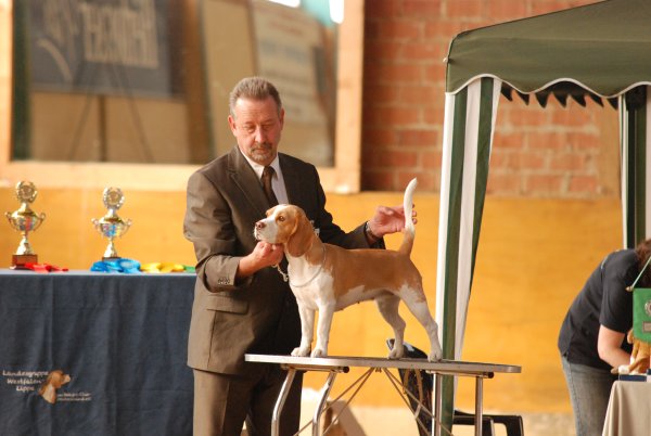 CSS 2009 in Steinhagen