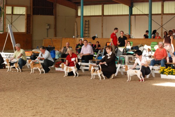 CSS 2009 in Steinhagen