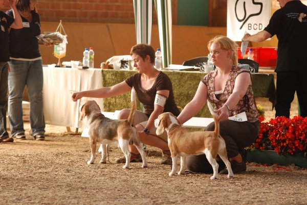 CSS 2009 in Steinhagen