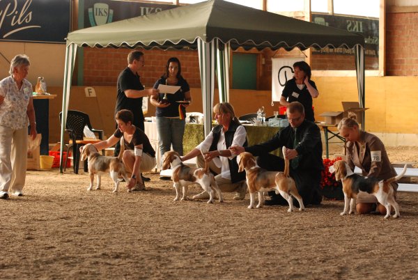 CSS 2009 in Steinhagen